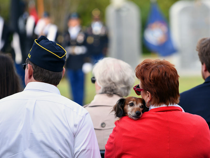 Fort Rucker Veterans Day ceremony